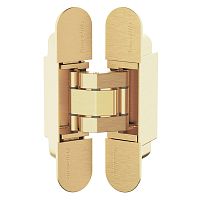 Петля Armadillo (Армадилло) скрытой установки U3D3000.VPG FSG флор. золото TECH