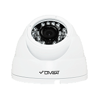 DVI-D225A POE LV v2.0 2Mpix  2.8mm видеокамера IP
