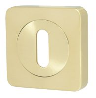 Накладка Armadillo (Армадилло) NORMAL PS/SQ-21SG-1 матовое золото 2шт.