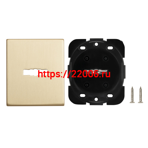 Накладка Armadillo (Армадилло) на сувальдный замок ESC.S-auto.USS/K (PS Protector/USS) FSG флорентийское золото фото 2 Накладка Armadillo (Армадилло) на сувальдный замок ESC.S-auto.USS/K (PS Protector/USS) FSG флорентийское золото фото 2