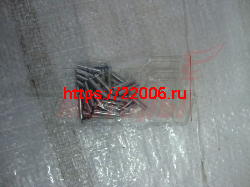 Подшипник Урал игольчатый задней ступицы (45 шт) Подшипник Урал игольчатый задней ступицы (45 шт)