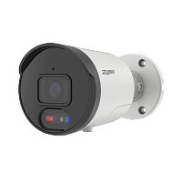 SVI-S187A SD DT SP видеокамера IP