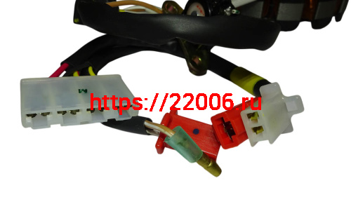 Статор (магнето) (N5321830) фото 2