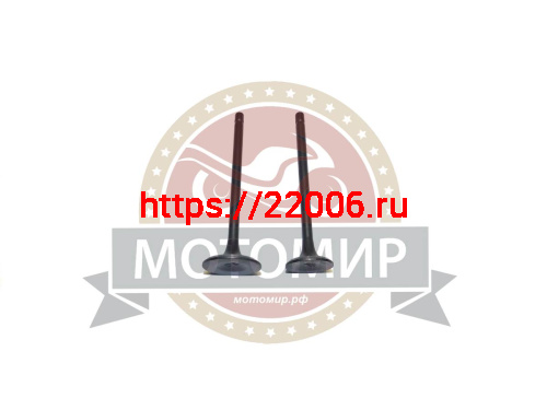 Клапан впускной/выпускной СG125 156/157FMI Хантер (d24/h93мм d29/h93,5мм) (компл)