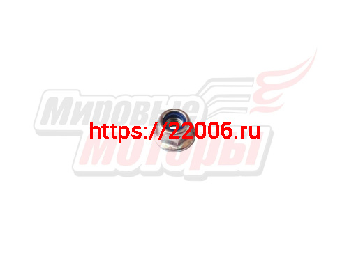 Гайка крепления рычага газа CHAMPION BC6611,6712,6612H,7712,7612Н,8713/ВС5511(801022) Гайка крепления рычага газа CHAMPION BC6611,6712,6612H,7712,7612Н,8713/ВС5511(801022)