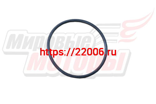 Прокладка водяного насоса EMGRAND,VISION (1136000208) Прокладка водяного насоса EMGRAND,VISION (1136000208)