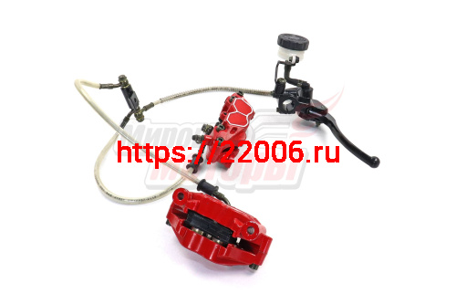 Гидравлика переднего тормоза в сборе TRIUMPH, ZF-KY, EKONIKA (ZF250-1) ТИП2(красные суппорты) Гидравлика переднего тормоза в сборе TRIUMPH, ZF-KY, EKONIKA (ZF250-1) ТИП2(красные суппорты)