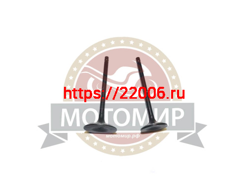 Клапан впускной/выпускной СВ/CBB200-250  (d28.5/h90мм d34/92мм) (компл)