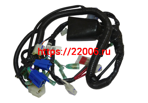 Проводка центральная в сборе (N5161030)