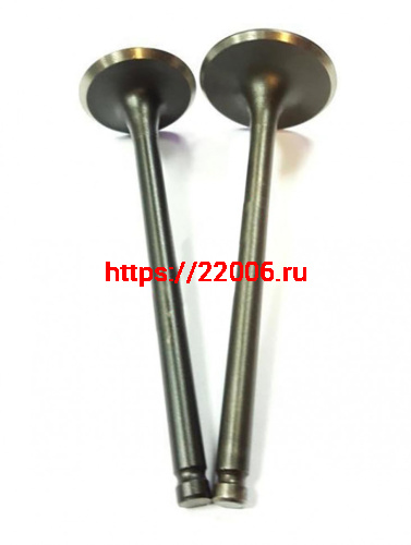 Клапана ГБЦ 166FMM TTR250 (CB250) впускной 32, выпускной 27(2 шт) Клапана ГБЦ 166FMM TTR250 (CB250) впускной 32, выпускной 27(2 шт)