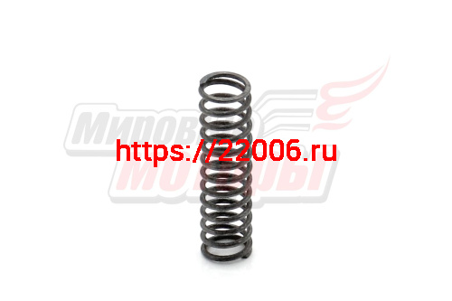 Пружина Рысь звездочки 39,41 (113.06.010.034) Пружина Рысь звездочки 39,41 (113.06.010.034)