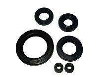 Набор сальников двигателя 167FMM (6 шт)