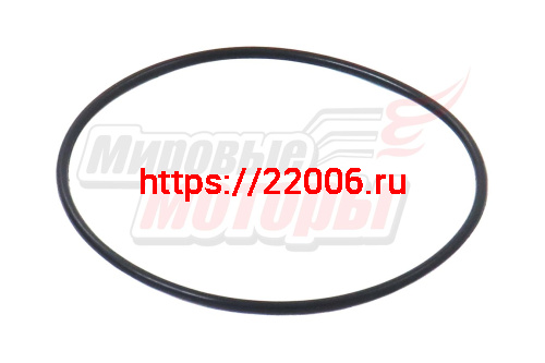 Кольцо Буран уплотнительное коленвала (306) (110500105)