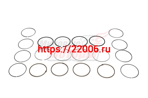 Кольца поршневые 0.25 Amulet Euro2 (480EF-1004030BA) Кольца поршневые 0.25 Amulet Euro2 (480EF-1004030BA)