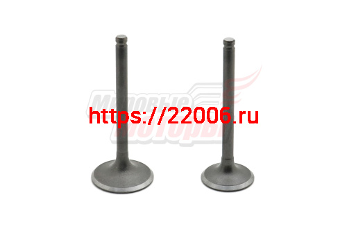 Клапаны (впуск/выпуск) 1P54FMI 125см3 STORM INDIGO (d-23/27 L-63/66) Клапаны (впуск/выпуск) 1P54FMI 125см3 STORM INDIGO (d-23/27 L-63/66)